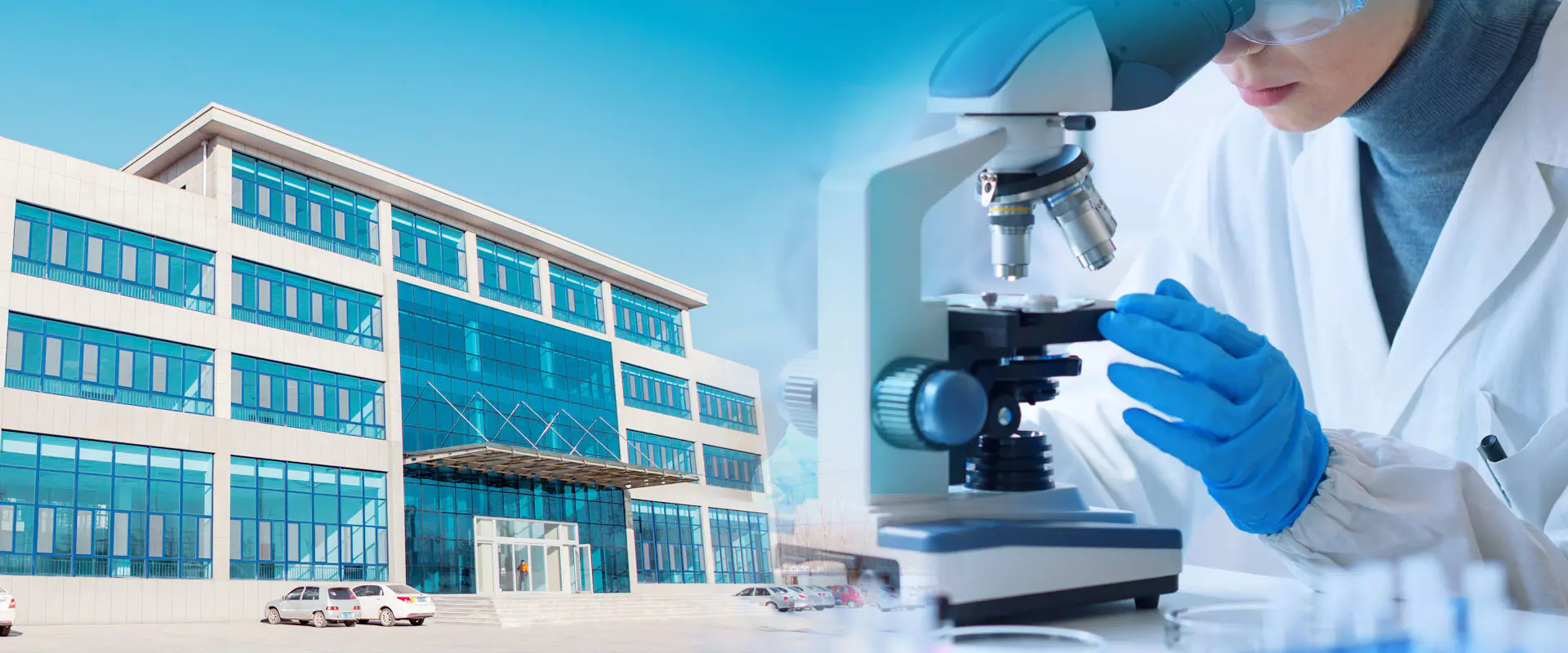 Çinko borat üreticisi